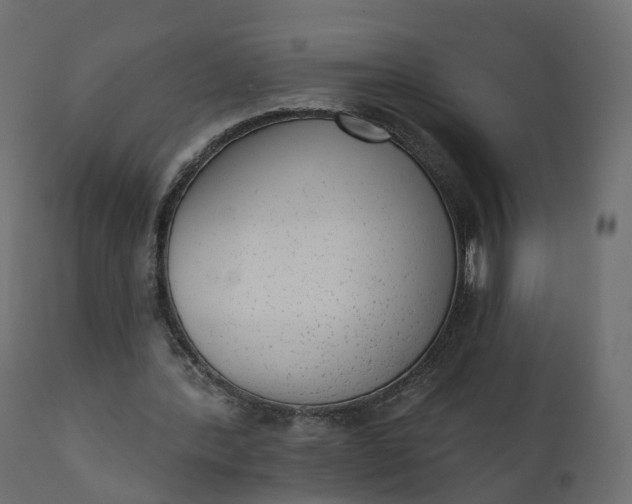 X0000110720388200906261500