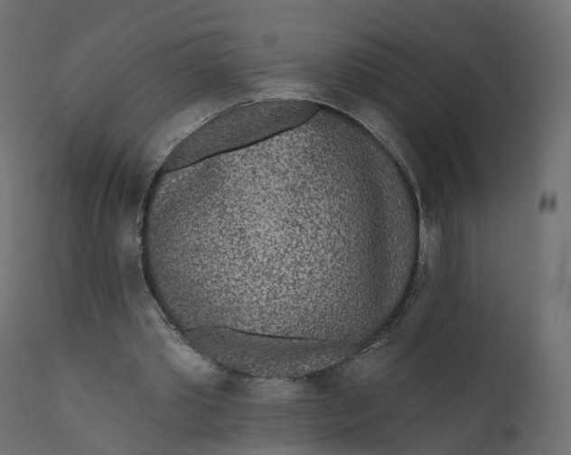 X0000110720389200906261500