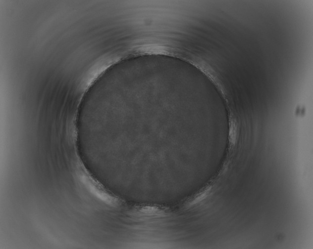 X0000110720390200906261500