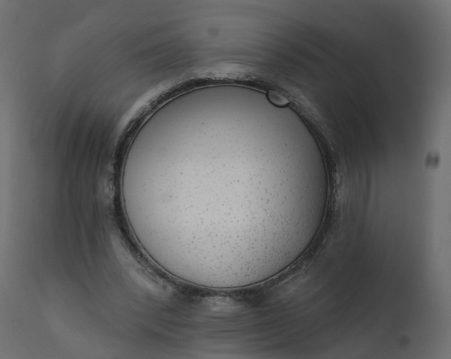 X0000110720392200906261500