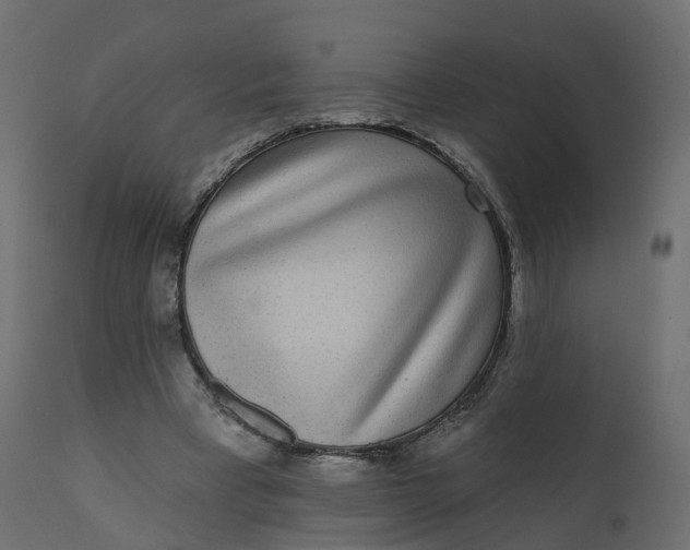 X0000110720393200906261500