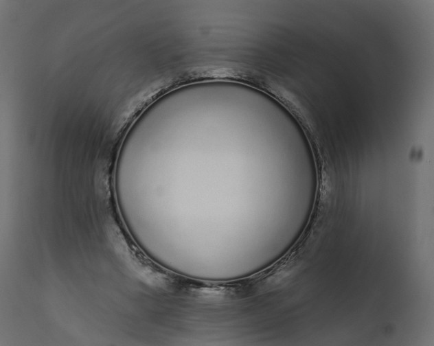 X0000110720394200906261500