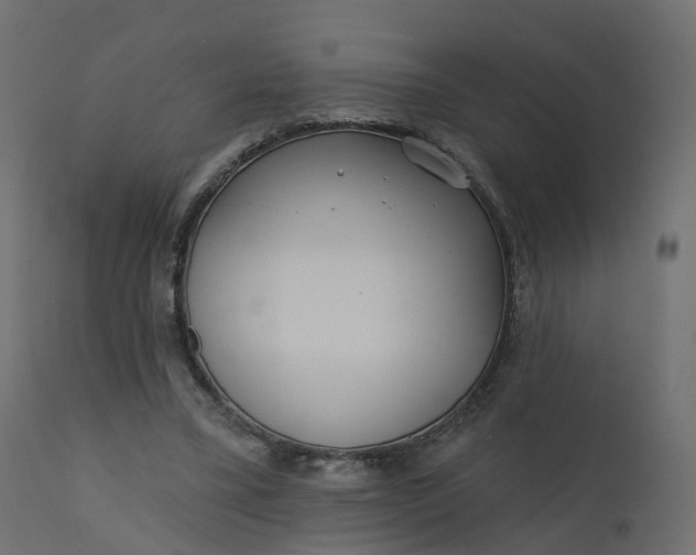 X0000110720395200906261500