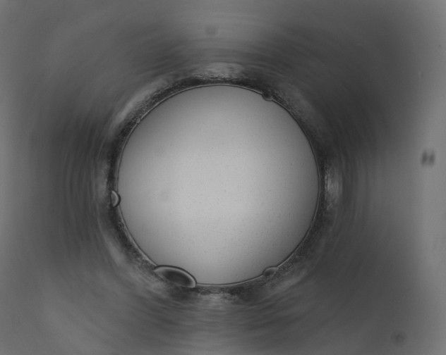 X0000110720396200906261500