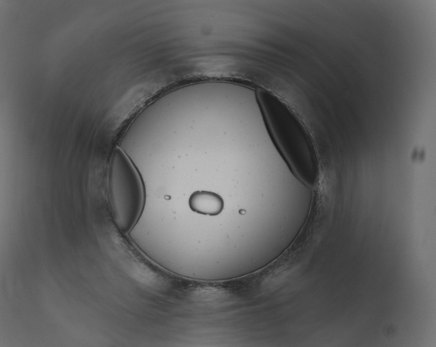 X0000110720397200906261500