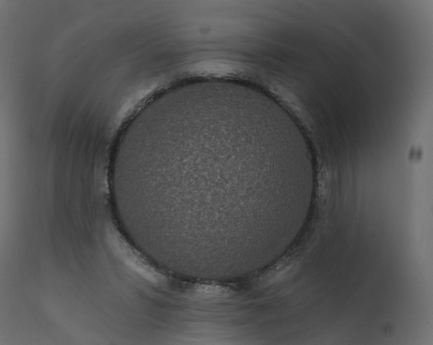 X0000110720399200906261500