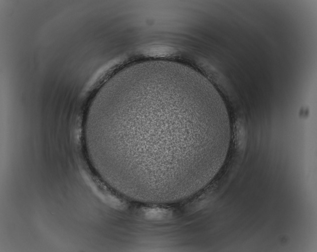 X0000110720400200906261500