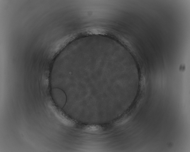 X0000110720402200906261500