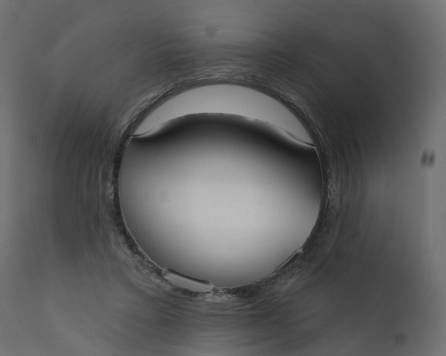 X0000110720403200906261500