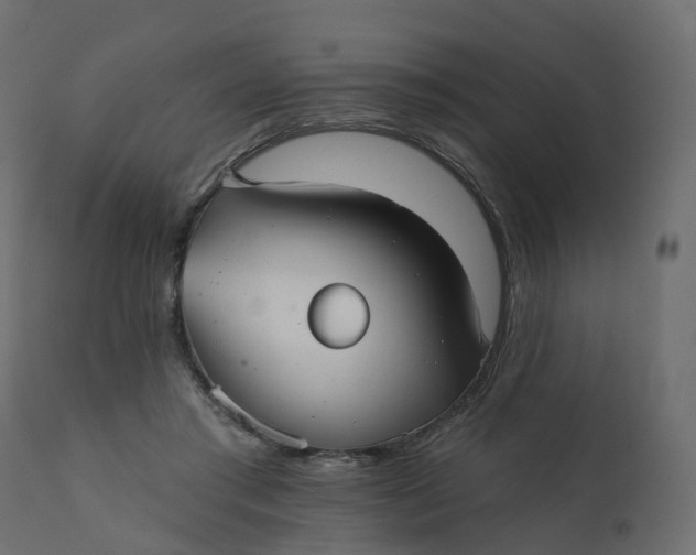 X0000110720405200906261500