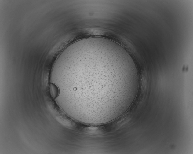 X0000110720406200906261500