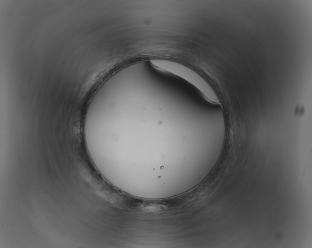 X0000110720407200906261500