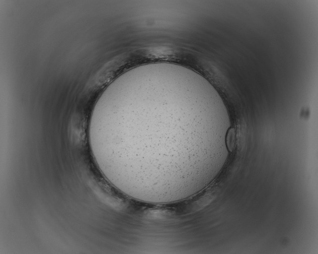 X0000110720408200906261500