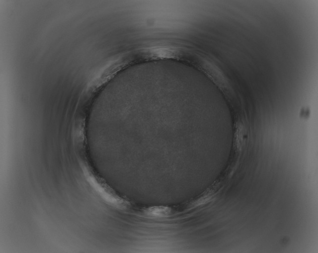 X0000110720410200906261500