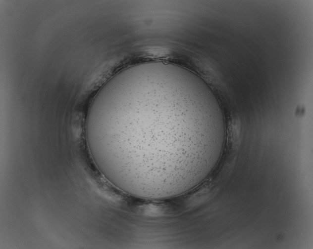 X0000110720412200906261500