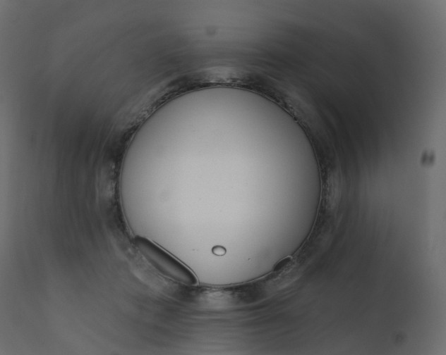 X0000110720413200906261500