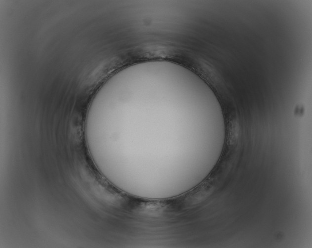 X0000110720414200906261500