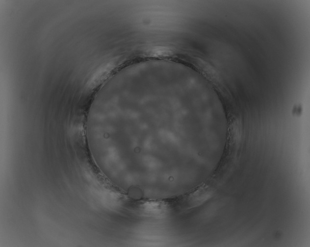 X0000110720415200906261500