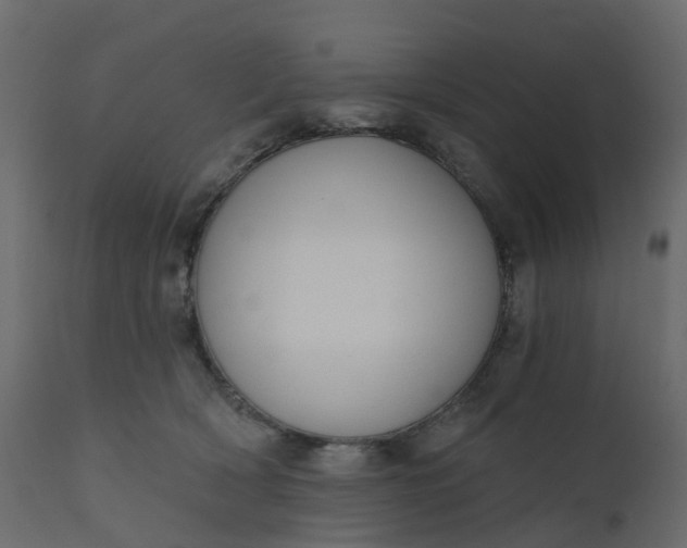 X0000110720418200906261500