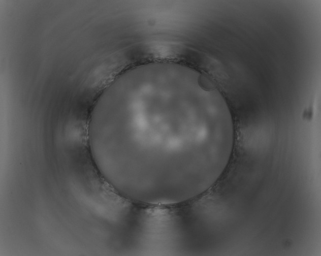 X0000110720419200906261500