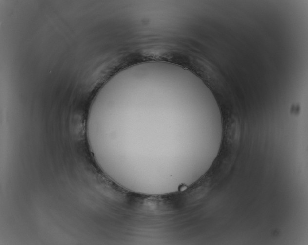 X0000110720420200906261500