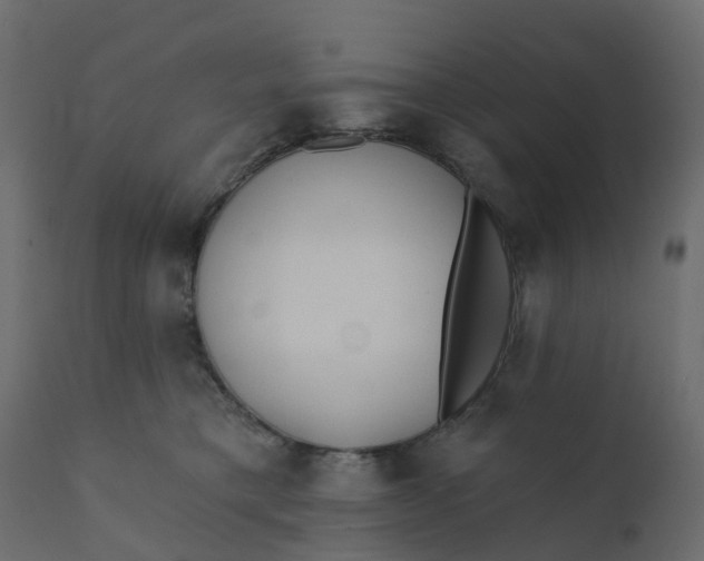 X0000110720421200906261500