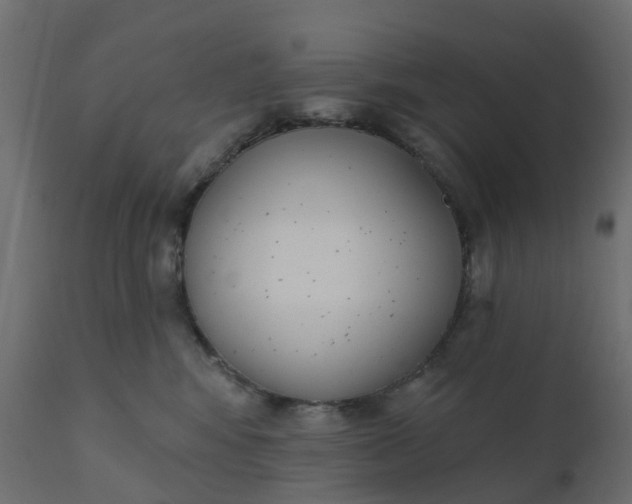 X0000110720424200906261500