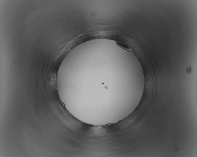 X0000110720425200906261500