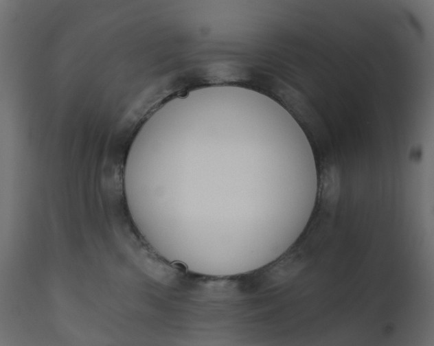 X0000110720426200906261500