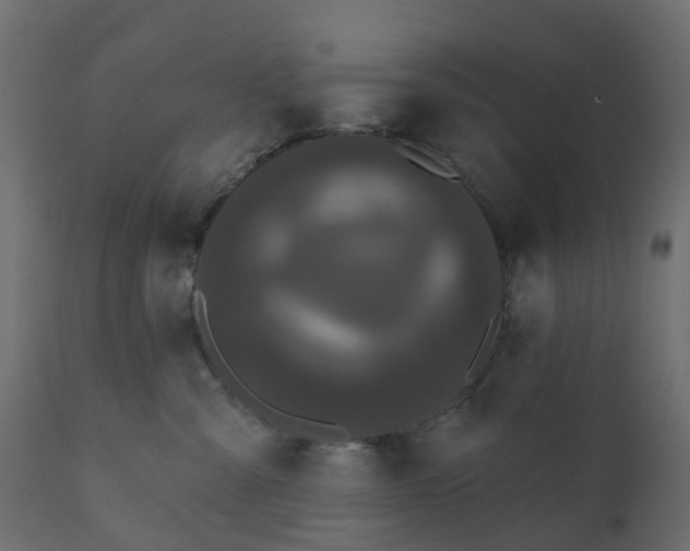 X0000110720427200906261500