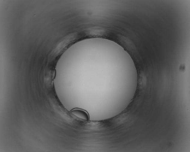 X0000110720428200906261500