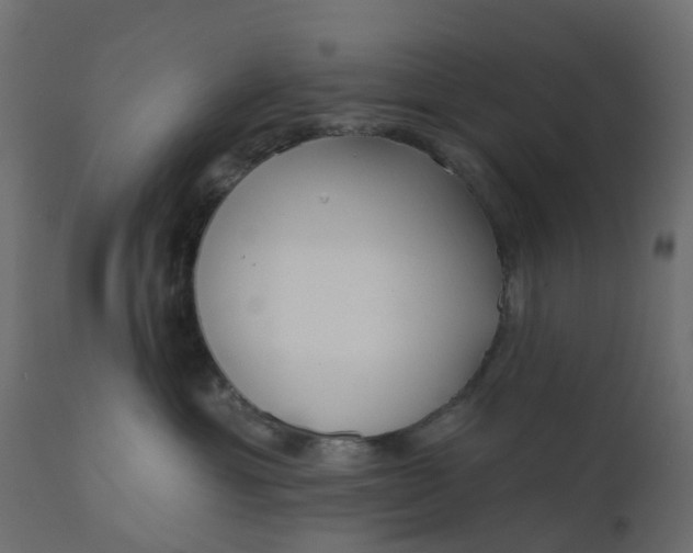 X0000110720429200906261500