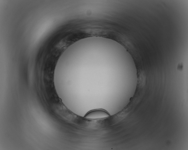 X0000110720430200906261500