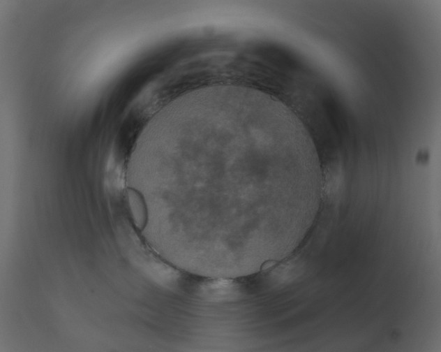 X0000110720431200906261500