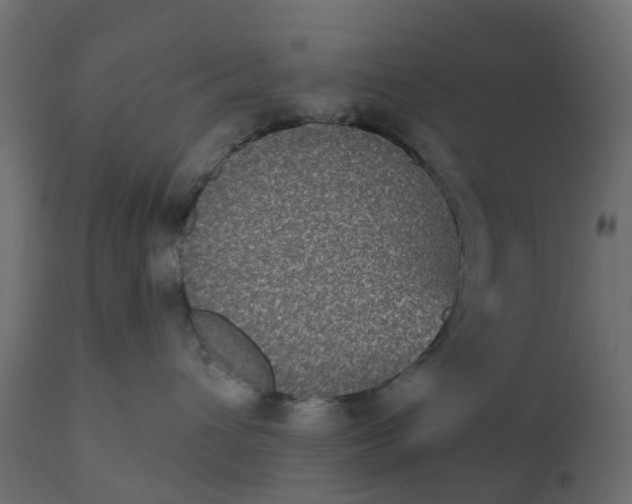 X0000110720432200906261500