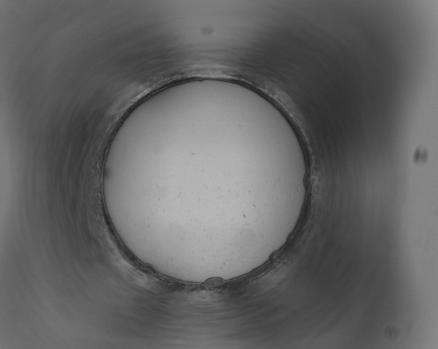 X0000110720433200906261459