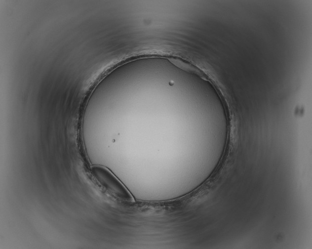 X0000110720434200906261459