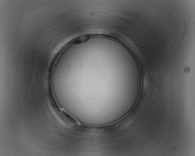 X0000110720436200906261459