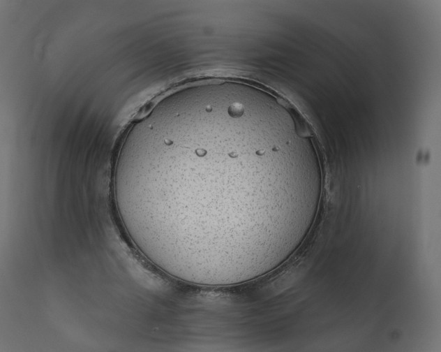 X0000110720437200906261459