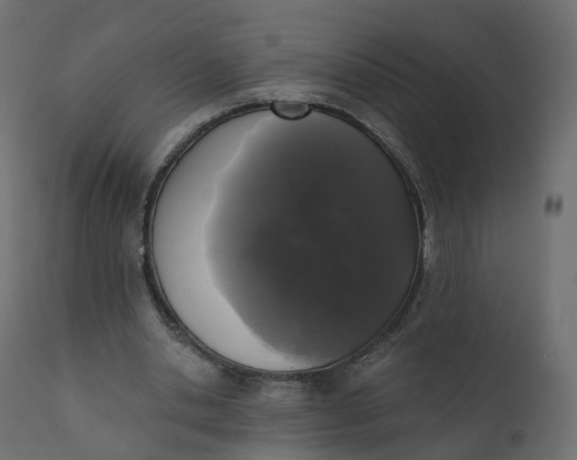 X0000110720438200906261459