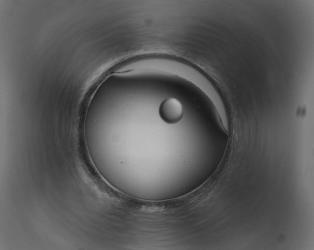 X0000110720440200906261459