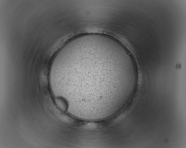 X0000110720441200906261459