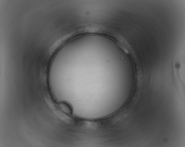 X0000110720442200906261459