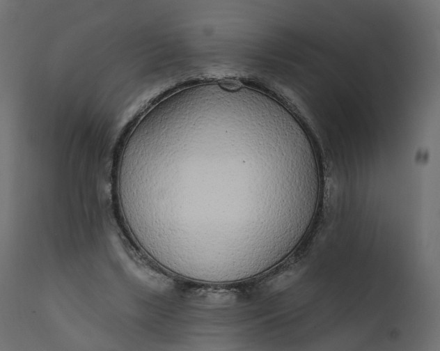 X0000110720443200906261459