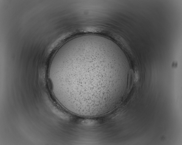 X0000110720444200906261459