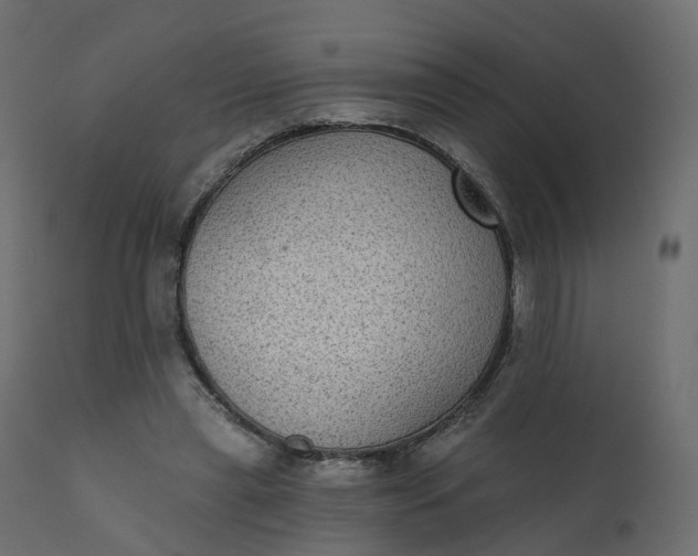 X0000110720445200906261459