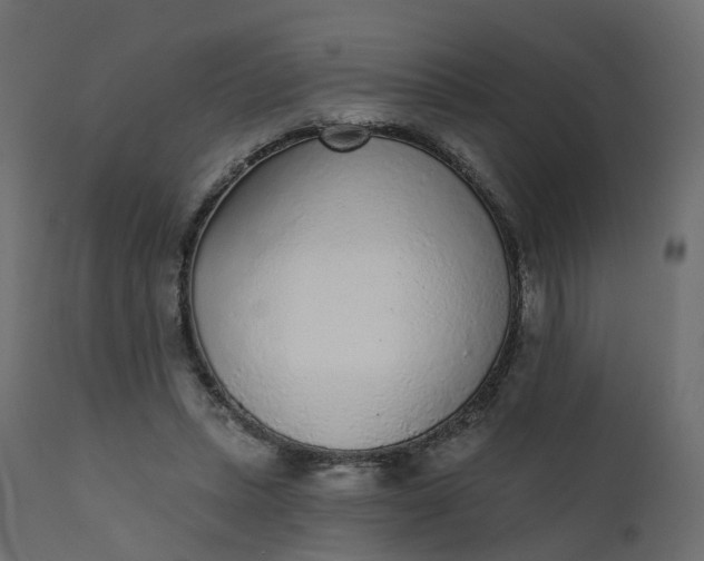 X0000110720447200906261459