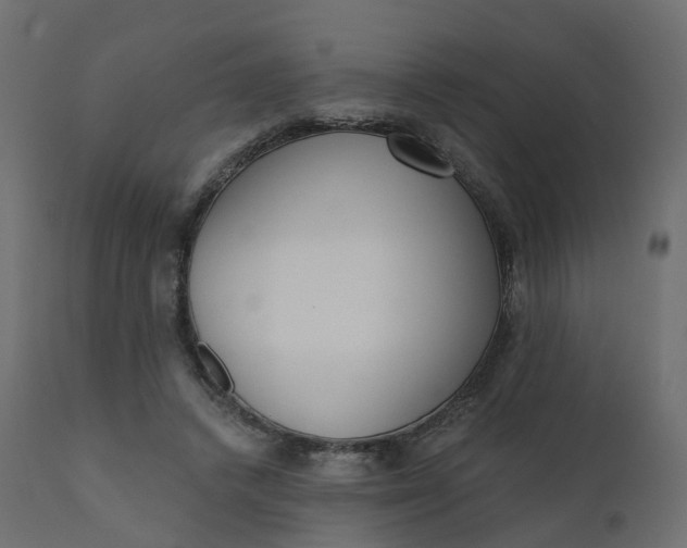 X0000110720448200906261459