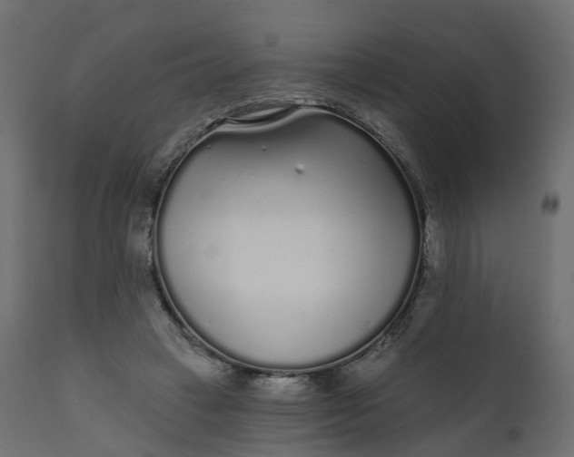 X0000110720449200906261459