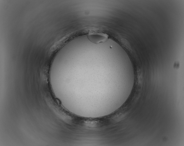 X0000110720450200906261459